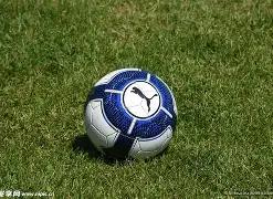 古树相约,活力九华燃,情盛放,威廉希尔(WilliamHill)官网,威廉希尔,(WilliamHill)平台,威廉希尔,(WilliamHill)官网app,威廉希尔,(WilliamHill)中文官方网站