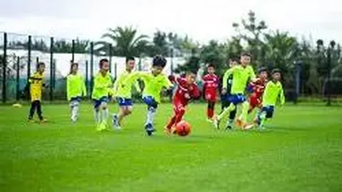 威廉希尔 (WilliamHill)中文官方网站 产品 093547 pcv