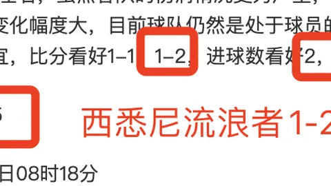 信心土甲文尼沙BB对决佩迪卡斯堡预测